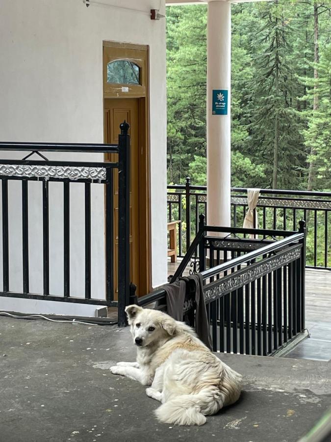 Wabi Sabi Riverside Hostel كاسول المظهر الخارجي الصورة